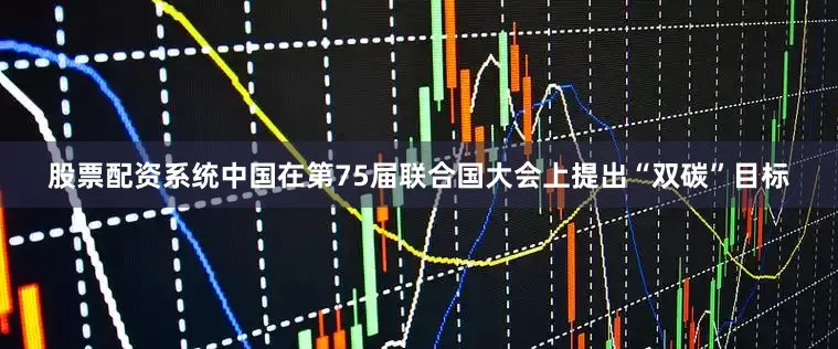 股票配资系统中国在第75届联合国大会上提出“双碳”目标