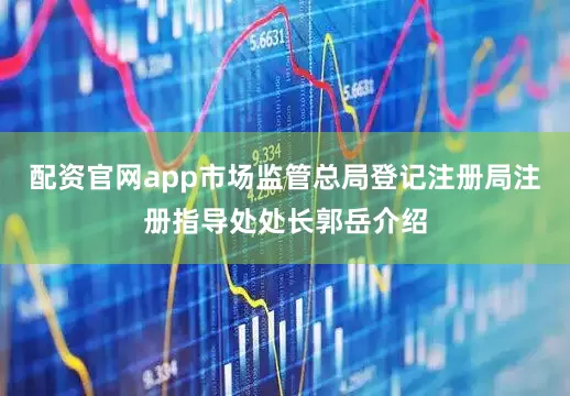 配资官网app市场监管总局登记注册局注册指导处处长郭岳介绍